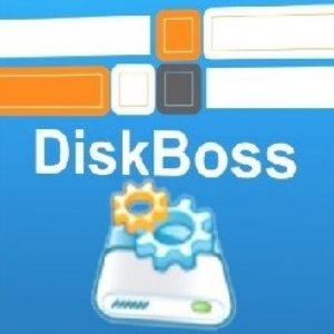DiskBoss Ultimate